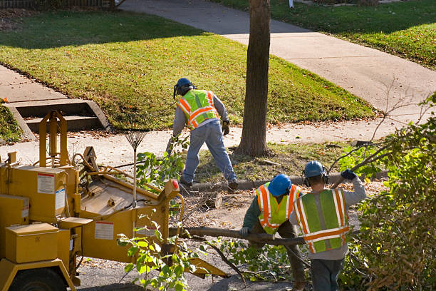 Lawn Maintenance Plans in Mclouth, KS